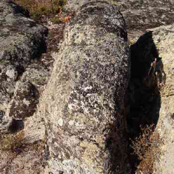 Click para ampliar. Pulsa en el nombre para ver la ficha. La Nava -