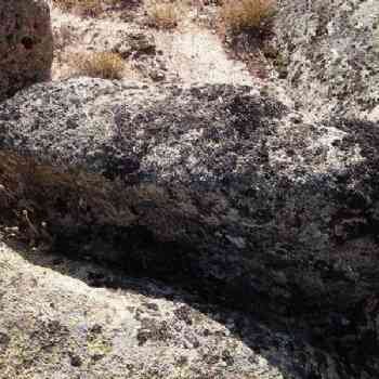 Click para ampliar. Pulsa en el nombre para ver la ficha. La Nava -