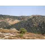 Click para ampliar. Pulsa en el nombre para ver la ficha. La Nava -