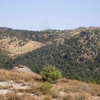 Click para ampliar. Pulsa en el nombre para ver la ficha. La Nava -