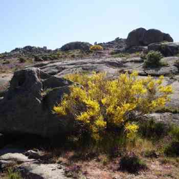 Click para ampliar. Pulsa en el nombre para ver la ficha. Ulaca - Conjunto Lítico - Elemento 6 - Desde abajo