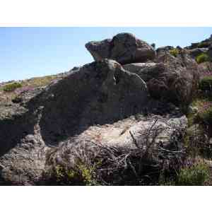 Click para ampliar. Pulsa en el nombre para ver la ficha. Ulaca - Conjunto Lítico - Elemento 5 - Desde atrás