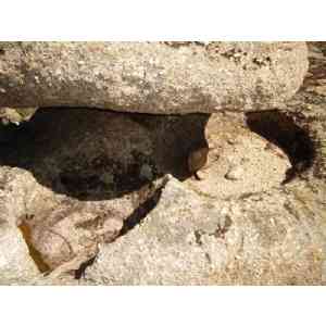 Click para ampliar. Pulsa en el nombre para ver la ficha. Ulaca - Conjunto Lítico - Elemento 5 Doble pileta cubierta - Detalle