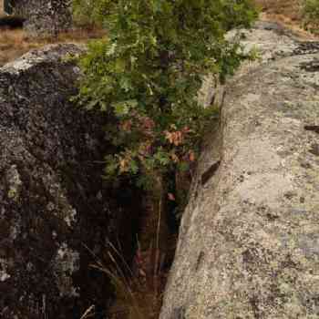 Click para ampliar. Pulsa en el nombre para ver la ficha. La Nava - Grieta o corredor entre canchales