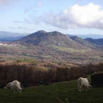 Click para ampliar. Pulsa en el nombre para ver la ficha. Chozo de Neila - Panorama