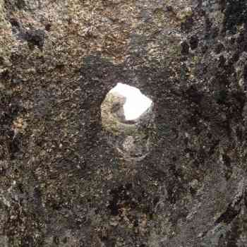 Click para ampliar. Pulsa en el nombre para ver la ficha. Piedras perforadas
Caso 4 - II
Detalle