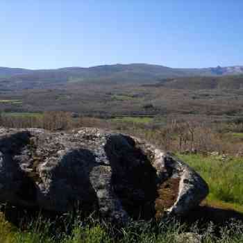 Click para ampliar. Pulsa en el nombre para ver la ficha. Chozo de Neila - Foto 32