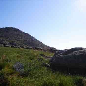 Click para ampliar. Pulsa en el nombre para ver la ficha. Chozo de Neila - Foto 34