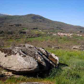 Click para ampliar. Pulsa en el nombre para ver la ficha. Chozo de Neila - Foto 35