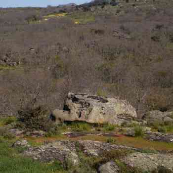 Click para ampliar. Pulsa en el nombre para ver la ficha. Chozo de Neila - Foto 29
Piedra con piletas II