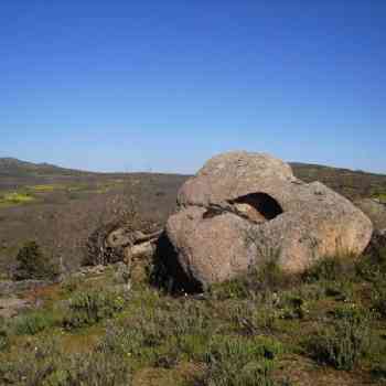 Click para ampliar. Pulsa en el nombre para ver la ficha. Chozo de Neila - Foto 25
Piedra con