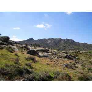 Click para ampliar. Pulsa en el nombre para ver la ficha. Ulaca - Desde la entrada - Vista derecha, hacia arriba.