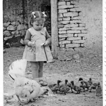 Click para ampliar. Pulsa en el nombre para ver la ficha. ¡premio!