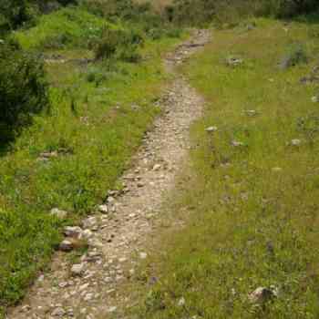 Click para ampliar. Pulsa en el nombre para ver la ficha. Calzada romana. Praesidem ab Rubrae. Cabezas Rubias - Huelva.