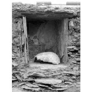 Click para ampliar. Pulsa en el nombre para ver la ficha. Chao San Martín - Cráneo