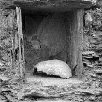 Click para ampliar. Pulsa en el nombre para ver la ficha. Chao San Martín - Cráneo