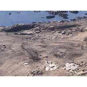 Click para ampliar. Pulsa en el nombre para ver la ficha. Cogotas. Castro. Alfar