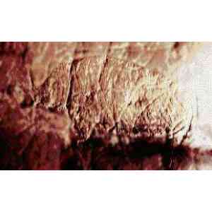 Click para ampliar. Pulsa en el nombre para ver la ficha. Cueva Casares. Grabado 3