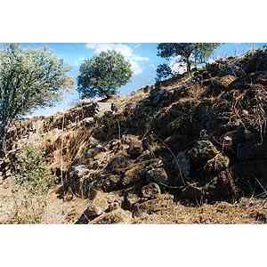 Click para ampliar. Pulsa en el nombre para ver la ficha. Derrumbe Tamusia