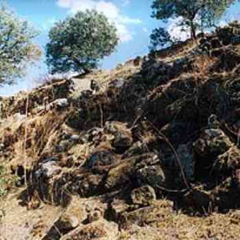 Click para ampliar. Pulsa en el nombre para ver la ficha. Derrumbe Tamusia