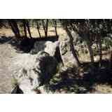 Click para ampliar. Pulsa en el nombre para ver la ficha. El Encinal. Dolmen. Vista 1