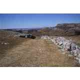 Click para ampliar. Pulsa en el nombre para ver la ficha. Amaya. Entrada