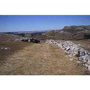 Click para ampliar. Pulsa en el nombre para ver la ficha. Amaya. Entrada