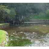 Click para ampliar. Pulsa en el nombre para ver la ficha. Ruentes - La Fuentona