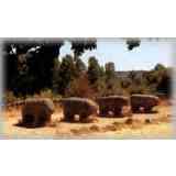 Click para ampliar. Pulsa en el nombre para ver la ficha. Los Toros de Guisando