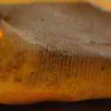 Click para ampliar. Huellas dactilares de un alfarero íbero.