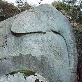 Click para ampliar. Pulsa en el nombre para ver la ficha. Elefante-Barcelona