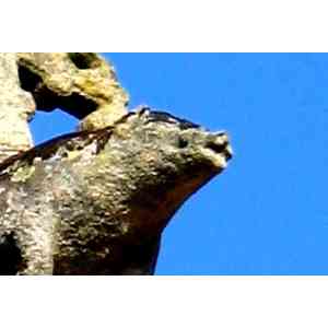 Click para ampliar. Pulsa en el nombre para ver la ficha. Verraco tejado San Francisco (Betanzos)