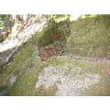 Click para ampliar. Pulsa en el nombre para ver la ficha. San Pedro de Rocas-Pila de agua y canal