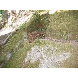 Click para ampliar. Pulsa en el nombre para ver la ficha. San Pedro de Rocas-Pila de agua y canal