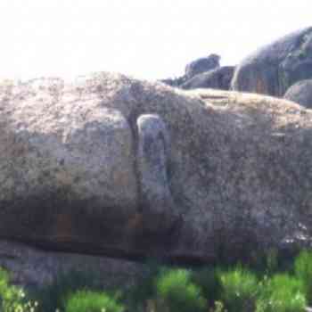 Click para ampliar. Pulsa en el nombre para ver la ficha.