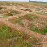 Click para ampliar. Sevilla - El Tholos de Las Canteras (Yacimiento). El Gandul