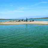Click para ampliar. Dolmen de Navalcán - Toledo