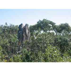 Click para ampliar. Pulsa en el nombre para ver la ficha. Membrío - Menhir de la Sierra de Clavería (vista 2)