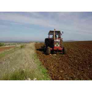 Click para ampliar. Pulsa en el nombre para ver la ficha. Tractor arando la Vía de la Plata
