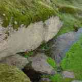 Click para ampliar. Fuente de La Higuera . Torreorgaz (Cáceres)