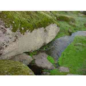 Click para ampliar. Pulsa en el nombre para ver la ficha. Fuente de La Higuera . Torreorgaz (Cáceres)