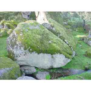 Click para ampliar. Pulsa en el nombre para ver la ficha. Fuente La Higuera. Torreorgaz (Cáceres).