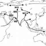 Click para ampliar. Expansión de los grupos cromosoma-y