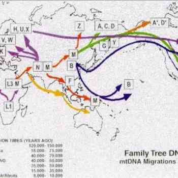 Expansión de los grupos de ADN mitocondrial