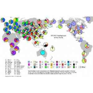 Mapa Haplogrupos de ADN mitocondrial nivel mundial