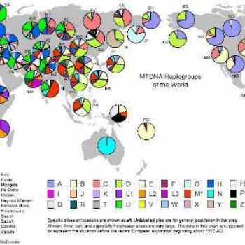 Mapa Haplogrupos de ADN mitocondrial nivel mundial