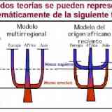 Click para ampliar. Las actuales teorias del origen del hombre