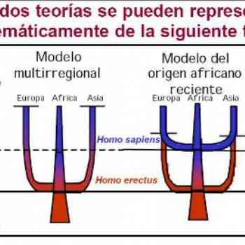 Las actuales teorias del origen del hombre