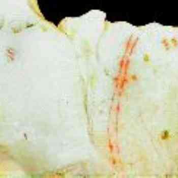 Click para ampliar. Pulsa en el nombre para ver la ficha. ¿Mapa de Tito Bustillo?