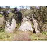 Click para ampliar. Pulsa en el nombre para ver la ficha. Anta de Mina Bugalho